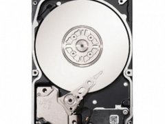 1 TB HDD NOU SAS 3.5 INCH